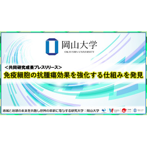 免疫細胞の抗腫瘍効果を強化する仕組みを発見〔かずさDNA研究所、岡山大学〕