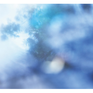 【SHIRO LIMITED PERFUME】OVER THE RAIN