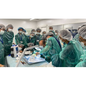 ジャパン・メディカル・カンパニー社製の医療模型を用いたハンズオンワークショップNeurosurgery hands-on workshop TOKYO 2024が開催