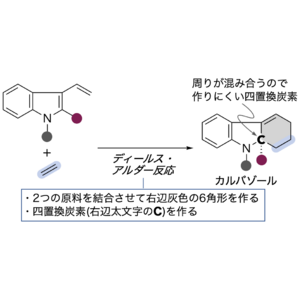 新薬開発に役立つ複雑な化合物の1工程合成に成功　～ランタノイドが拓く創薬と環境の未来～