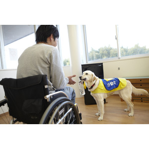【10/28、29開催】日本身体障害者補助犬学会 第15回学術大会が開催！