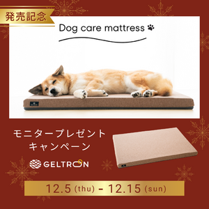 【愛犬のための床ずれ防止マットレス】 ジェルトロン「Ｄｏｇケアマットレス」発売記念！ “11（ワンワン）”名様モニタープレゼントキャンペーンを開催!!