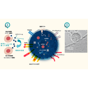 エクソソームによるプレシジョンメディシンの開発を目的とした臨床研究を開始