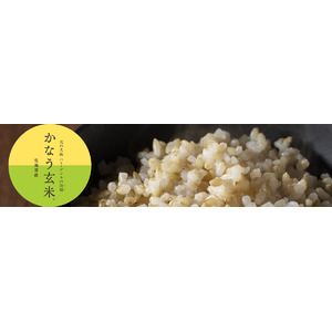 GABAが10倍！炊きやすい、食べやすい　巨大胚芽　玄米の新品種　～　(株)玄米酵素グループ　北海道から新発売