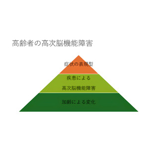 【新潟医療福祉大学】高次脳機能障害に関する研修会「令和６年度新潟圏域高次脳機能障害支援従事者研修会」で講演！