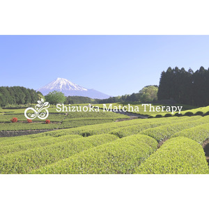飲むウェルビーイング「Shizuoka Matcha Therapy」、IVS2025 スタートアップマーケット出展企業に選出