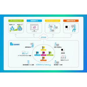 病理分野向けクラウドソリューションの販売開始【メドメイン株式会社】