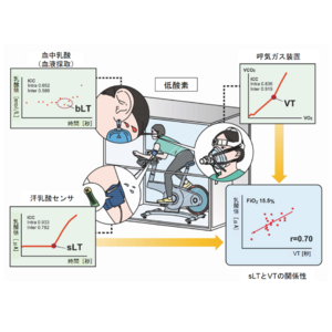 低酸素トレーニングでの運動負荷レベルを簡便に決定可能な評価手法を開発