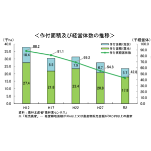 AlonAlon（理事長那部智史、千葉県いすみ市岬町）が、Aimowlの胡蝶蘭農園をプロデュース。１２月１日、NPO法人Aimowlガーデンが運営する新しい就労継続支援Ｂ型作業所がオープンしました。