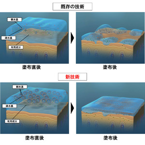 資生堂、有用成分を素早く肌の隅々まで浸透させより高いスキンケア効果を期待できる新化粧水処方技術を開発　～美白有効成分m-トラネキサム酸が、素早くより多く、肌内部へ浸透することを確認～