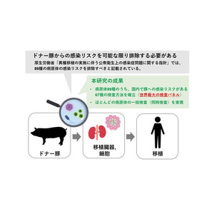 国内初、移植用ドナー豚の病原体検査パネルを開発　標的病原体数は世界最多、国内での異種移植実現に向けた大きな一歩