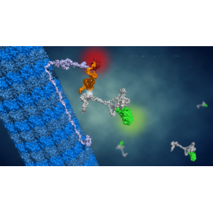 Iktos社、タンパク質-タンパク質間およびRNA-タンパク質間相互作用を標的とする創薬に特化したライフサイエンス技術企業Synsight社を買収