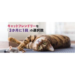 2月22日は猫の日！猫オーナー1000名に実態調査 3人に1人が「愛猫が知らない間に体調不良」経験あり 愛猫の通院頻度「年に1回以下」が65%