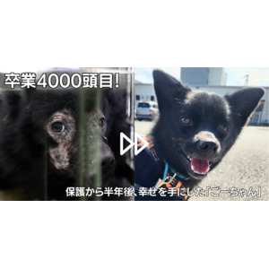 全国「殺処分ゼロ」を目指すピースワンコ・ジャパン、保護犬の譲渡・返還数が4000頭を突破