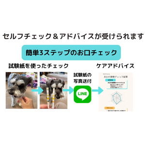 かながわベンチャー限定クラウドファンディング「かなエール」で支援を行います