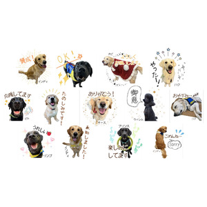 介助犬支援に繋がる新LINEスタンプ販売開始！