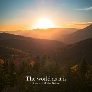 自然の調べが奏でる美しいヒーリング音楽。地球の美しさと豊かさに身を委ね、ゆっくりと疲れを癒すアルバム『The world as it is-Sounds of Mother Nature』がリリース。