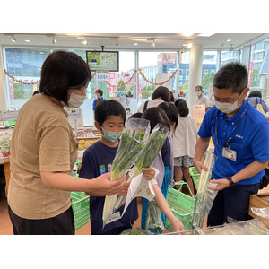 地元野菜の目利き＆調理にチャレンジ！横浜市で親子食育体験イベントを開催