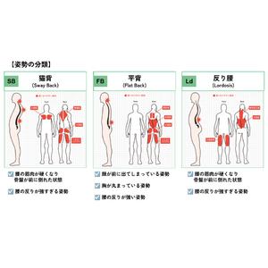 会社員の姿勢で最も多いのは、猫背？理学療法士が、働く人たちの姿勢を3つのタイプで分類