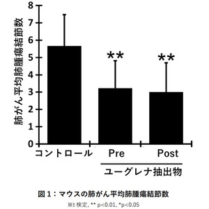 微細藻類ユーグレナ粉末抽出物による肺がん増殖抑制効果は、腸内細菌叢から産生される短鎖脂肪酸によるがん細胞のアポトーシスの誘発によって起こっている可能性を確認しました