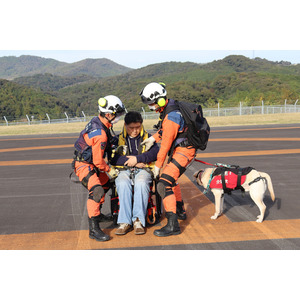 補助犬とユーザーの協力で実現、災害時ヘリコプター救助体制の強化に貢献
