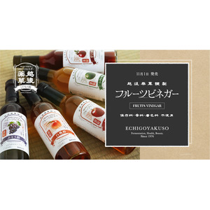 【新発売】お酢ドリンク「フルーツビネガー」5種類が2024年11月1日(金)より販売開始