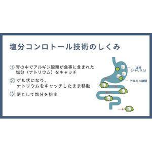 塩分吸着ファイバーで味を変えずに「美味しい」と「健康」の両立を目指す！～舌＆味覚認識装置の導入で味の変化を比較～