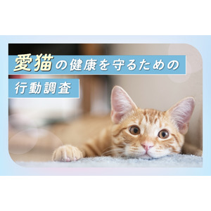 【気になる避妊・去勢手術の実施率は86.2%】愛猫の健康を守るための行動調査