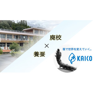廃校を活用した養蚕、熊本県あさぎり町にて6月から飼育開始。