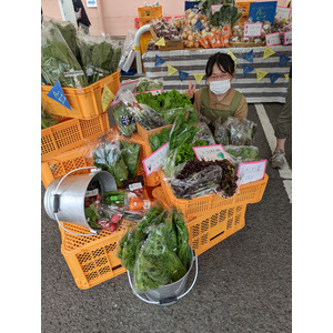 徳島県立国府支援学校の生徒が、「ふらっとKOKUFU」福祉施設利用者と協働で育てた野菜をスーパーで常設販売します！