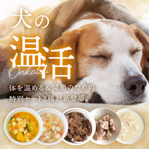 《POCHI》ぽかぽか温活セット（犬用）2種を数量限定販売