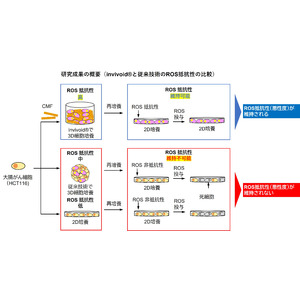 大阪大学大学院工学研究科とTOPPAＮホールディングス、新たな3D細胞培養技術により悪性度の高いがんを体外で忠実に再現