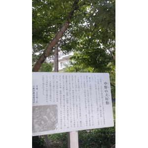 6月1日 第1回NAKANO REAL HEALTH with Dog Sumit！中野わんこプロジェクトが中野区役所ナカノバ＆ソトニワにてペットの健康をテーマに講演会とイベントを初開催