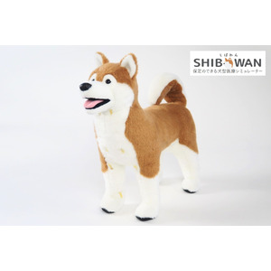 【倉敷芸術科学大学と株式会社anifullの共同開発】保定のできる犬型医療シミュレーター「しばわん」 2025年5月新発売