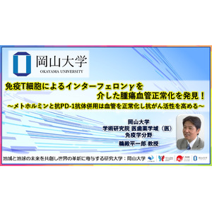 【岡山大学】免疫T細胞によるインターフェロンγを介した腫瘍血管正常化を発見！～メトホルミンと抗PD-1抗体併用は血管を正常化し抗がん活性を高める～