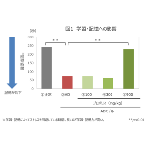 プロポリスが持つ認知機能の低下抑制作用