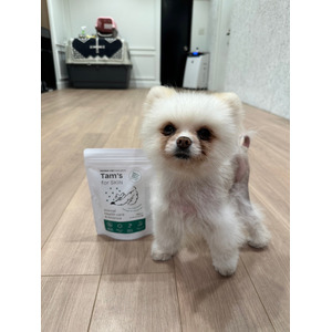 HOGOKEN TOKYOの保護犬へTam's for SKINを無償提供開始