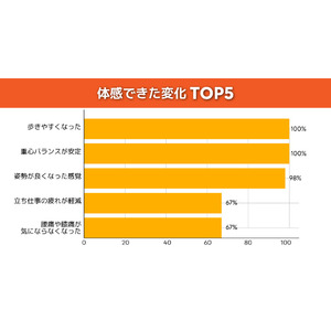 50～60代の87％が「姿勢改善・疲労軽減」に高い満足度。株式会社春喜、整体師開発のスタビリティシート『ビーレジシート』約600件のモニター検証結果を公表