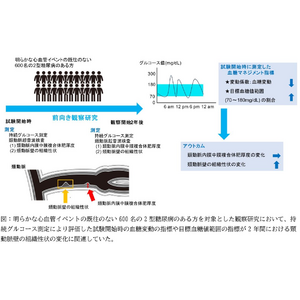 持続グルコース測定の血糖マネジメント指標と動脈硬化の関連性が明らかに