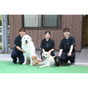 岡山発！セラピードッグと歩む新しいリハビリ‐癒しと機能改善の両立を目指す
