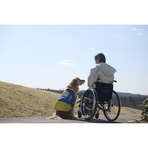 【無料オンライン開催】6月22日（日）「介助犬相談会」のご案内