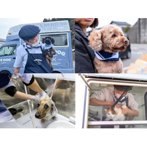 ピースワンコ・ジャパン×THE DOG(TM) Salon Trimming Wagon、能登半島地震被災者支援 出張トリミング第2弾を実施いたします