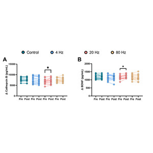 マイオカインの発現に効果的な周波数帯を解明。研究成果が『Journal of Comparative Physiology B』に掲載