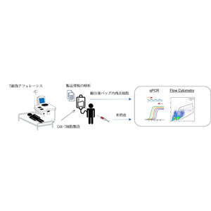 再発又は難治性B細胞リンパ腫に対するCD19抗原標的CAR-T細胞輸注後、本邦に多く発症する喉頭浮腫の予測因子の解明