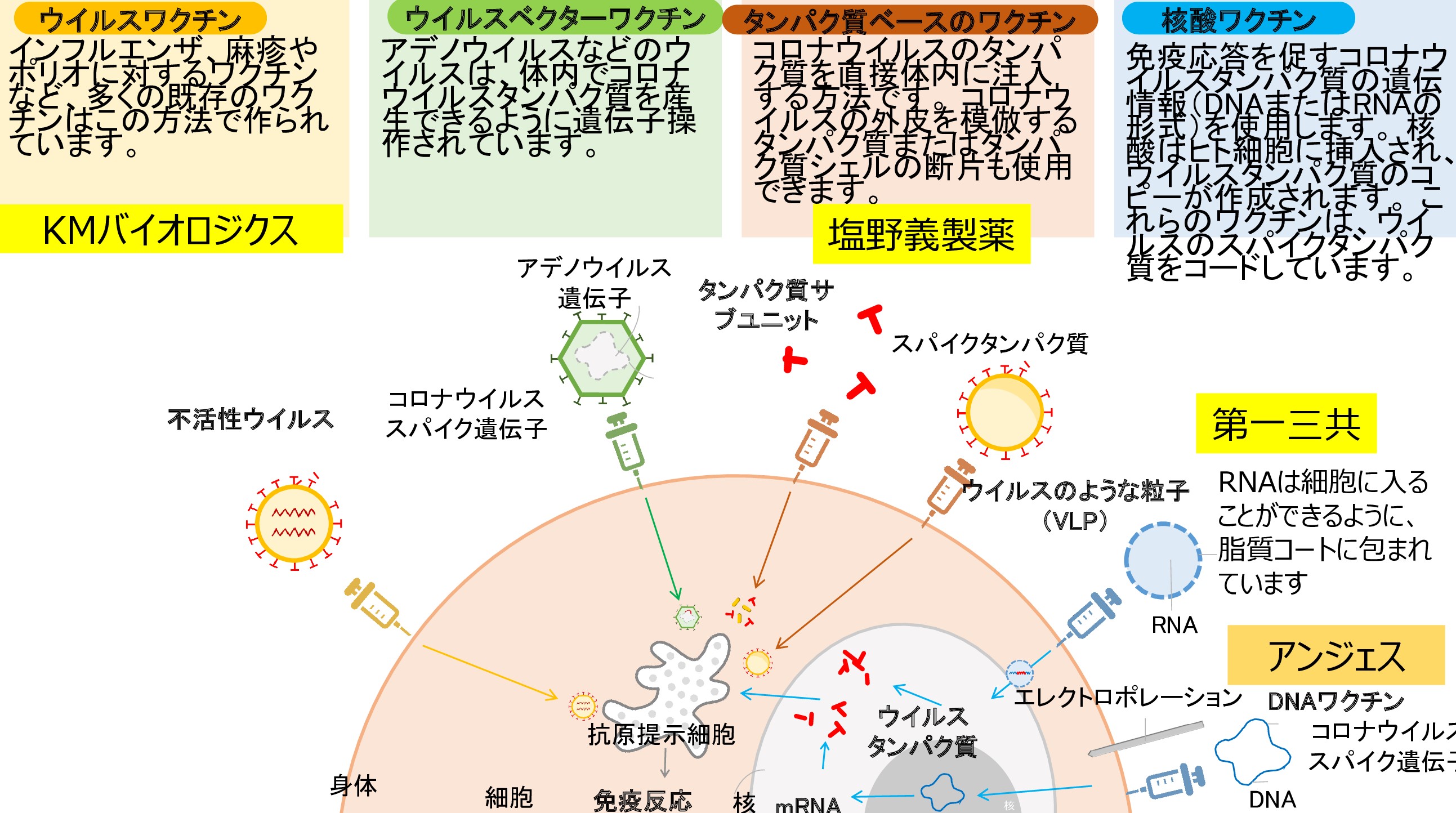 国内各社のワクチン技術（図２）